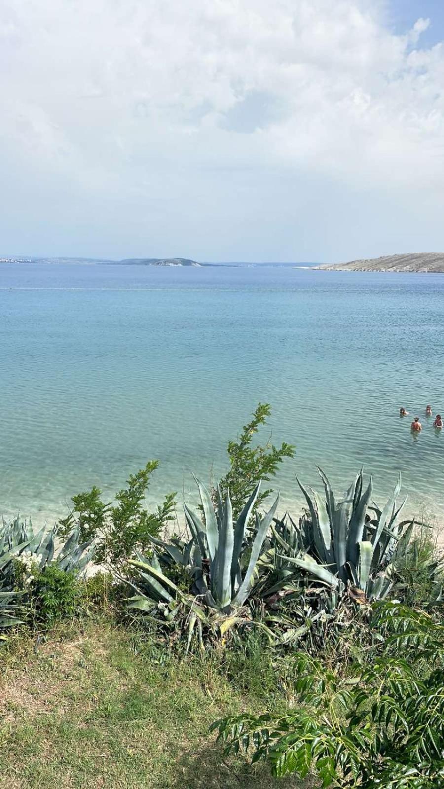 Pag Vlašići المظهر الخارجي الصورة